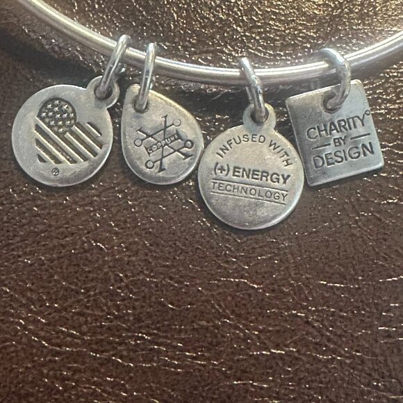 Alex and Ani “Best” Charm Bangle - Picture 6 of 6